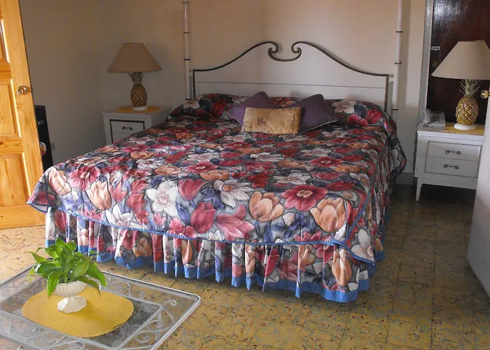 Hotel Verney House Montego Bay